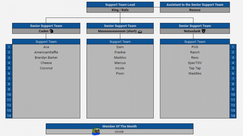 Support Team Statistics